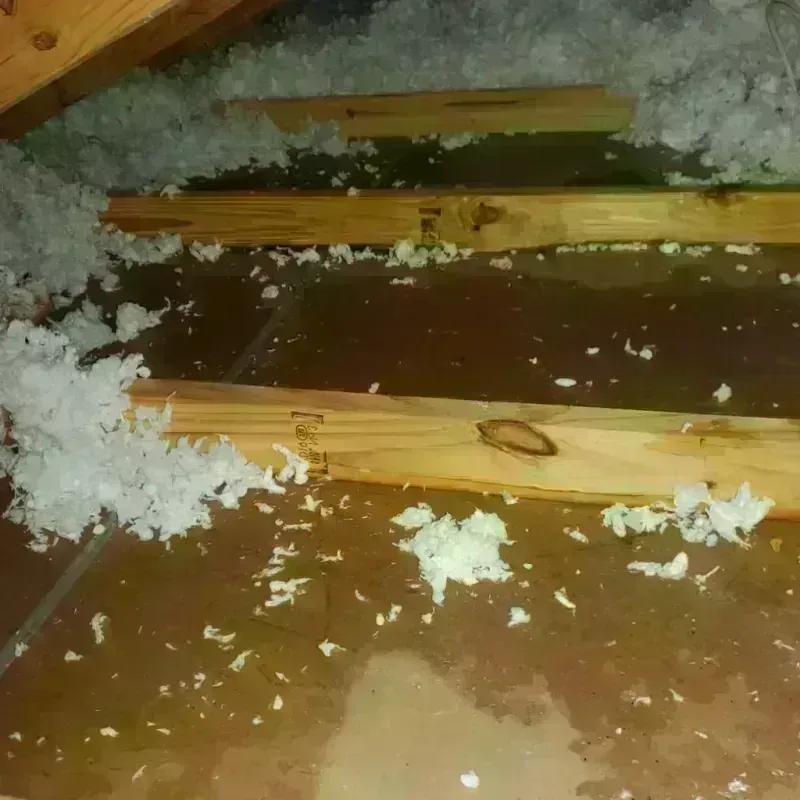 Attic Water Damage in Tolono, IL