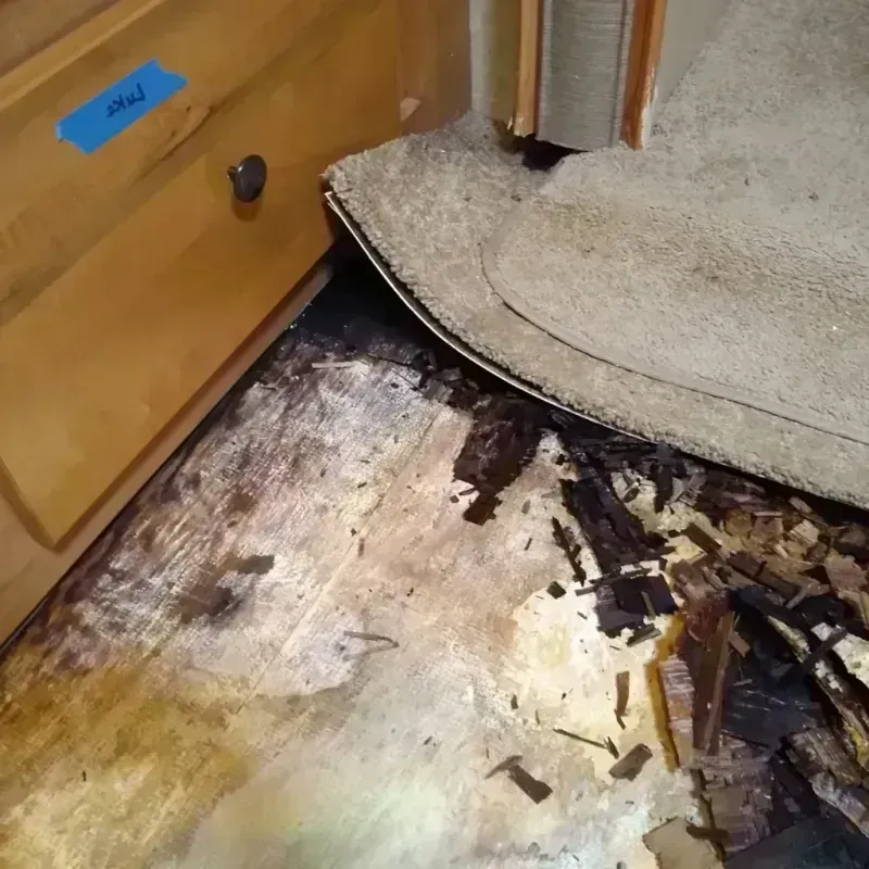 Wood Floor Water Damage in Tolono, IL